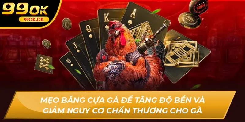 So sánh các loại cựa gà phổ biến và cách lựa chọn 99OK phù hợp